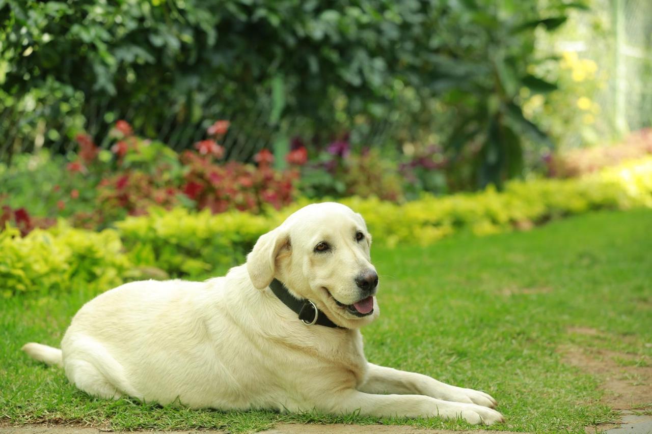 Sunvalley Homestay Coonoor Luaran gambar